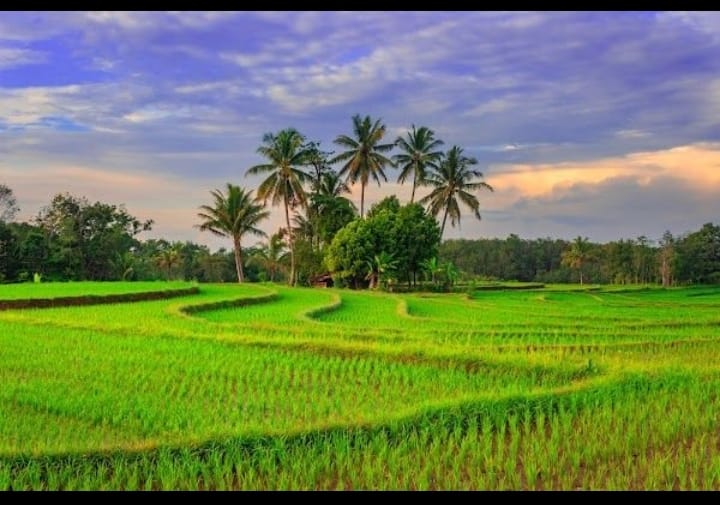 Di Mana Kita Bekerja, Di Situlah Kita Menanam Harapan